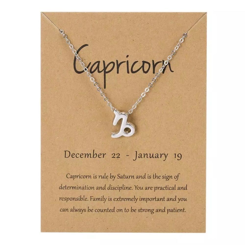 🆕Capricorn Zodiac Astrology Pendant Necklace